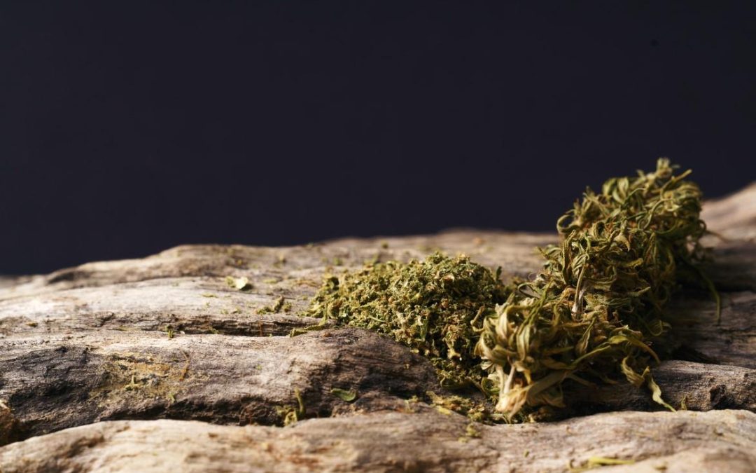 What is Delta-9 THC? A Complete Overview for New Users in Fort Worth